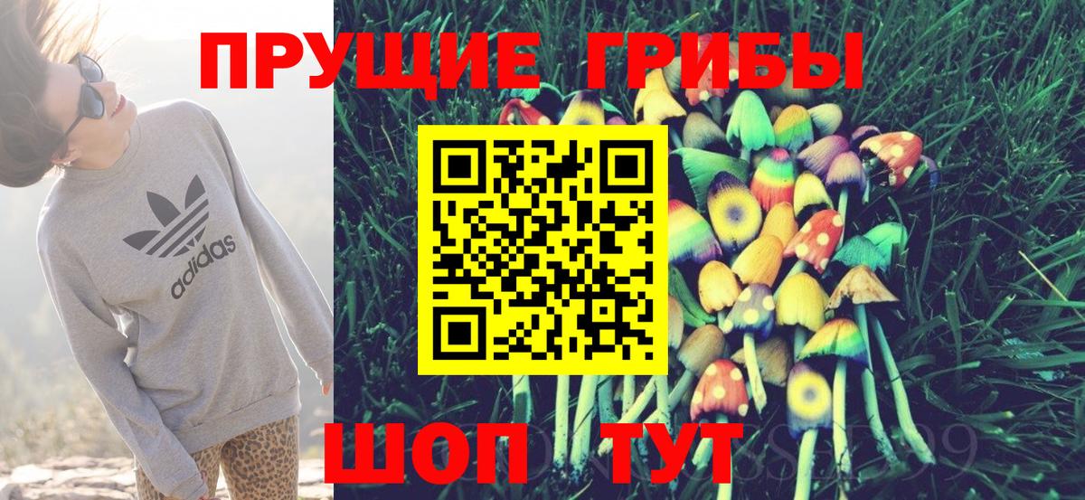 Галлюциногенные грибы Cubensis Партизанск
